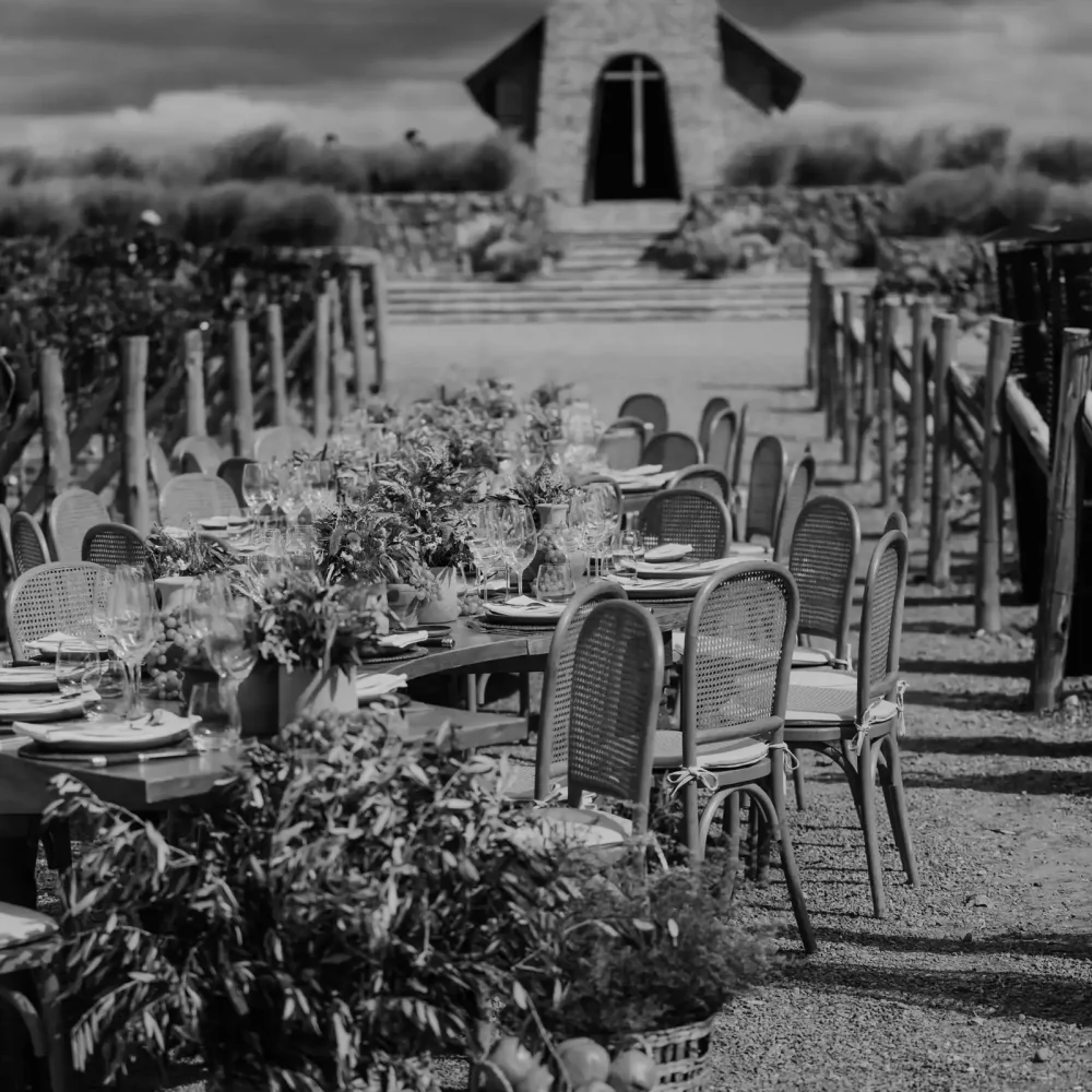 CASA DAVID WINE & HORSES ~ ALTO AGRELO